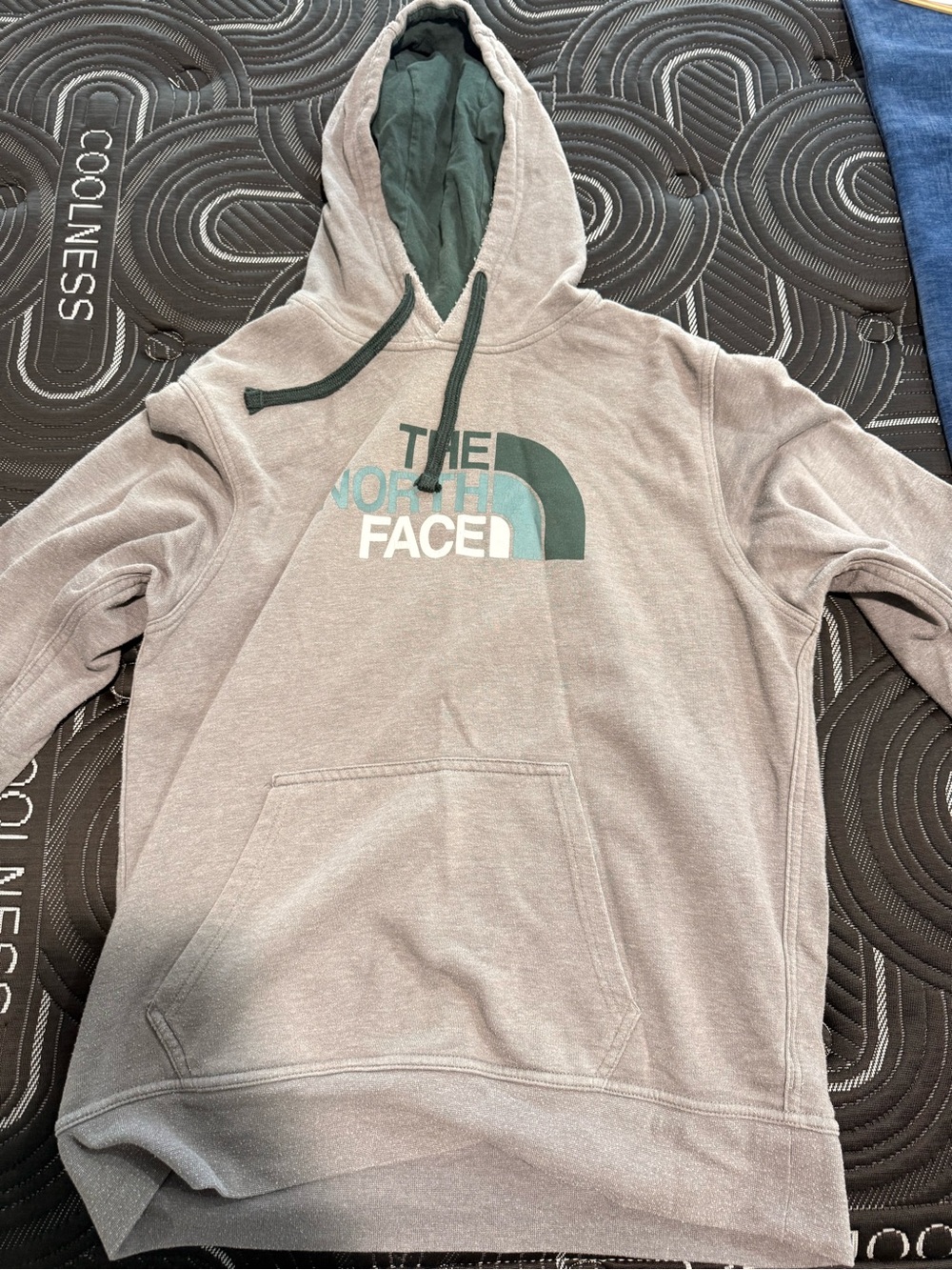 The North Face Men's Light Gray Hoodie with Teal Logo and Dark Green Lining